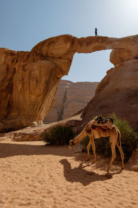 Jordan - Wadi Rum UmFrouthRockBridge